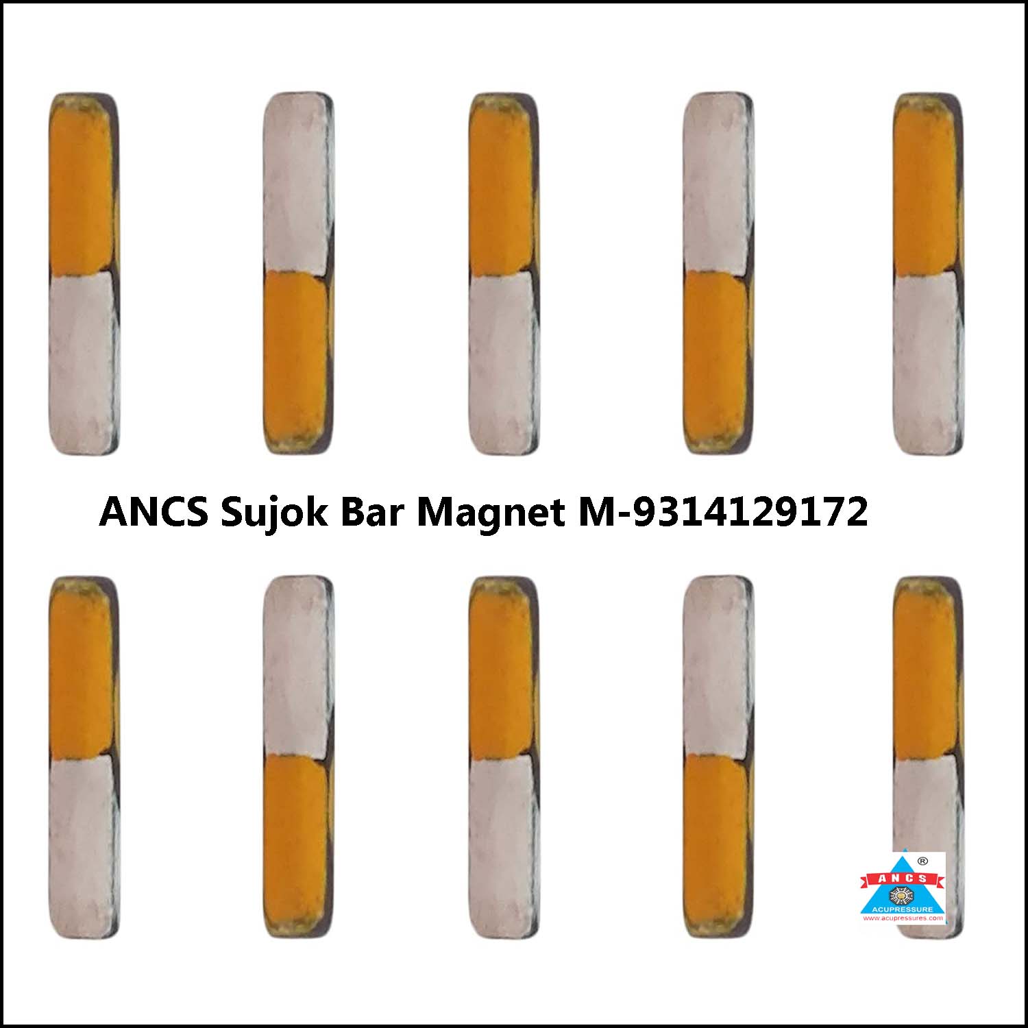 ANCS sujok bar magnet set of 10 
