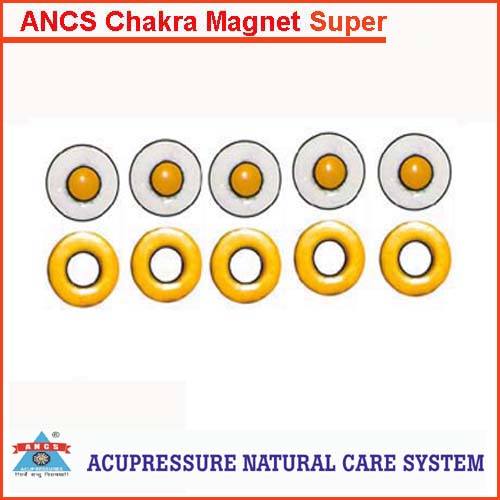 ANCS sujok chakra magnet super big 10pc 