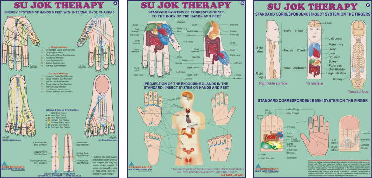 ANCS Sujok Therapy Chart-Set of 3 20x30 