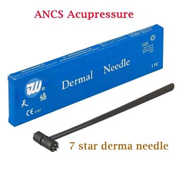 Ancs Acupuncture 7 Star derma needle 