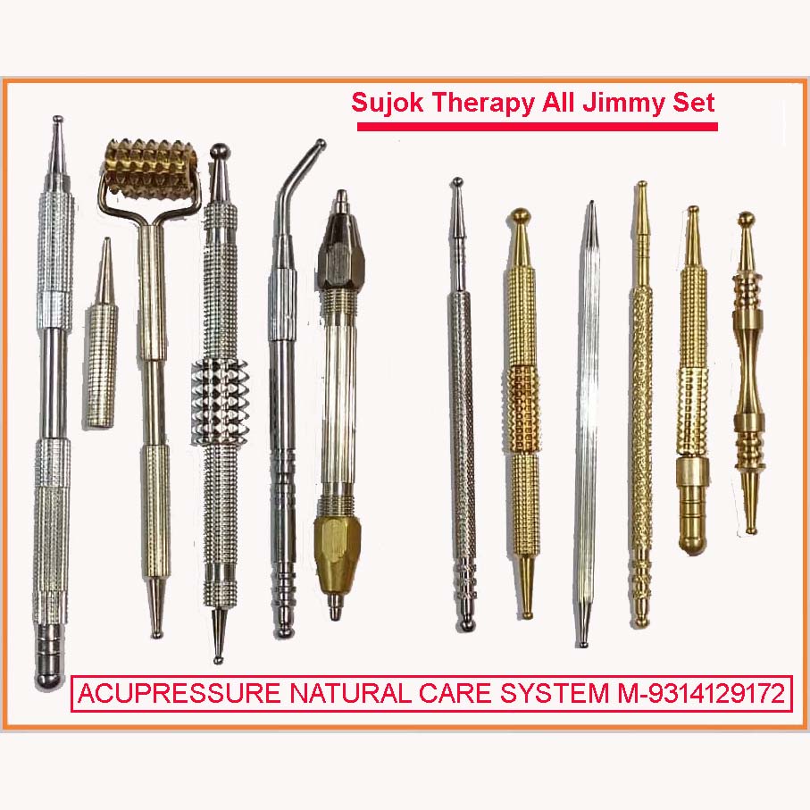 ANCS Sujok Therapy Jimmy Kit Set-11 