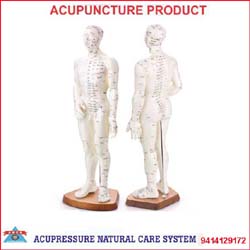 ANCS Acupuncture point dommy 50cm 