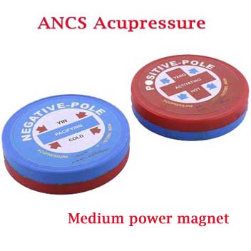ANCS Medium power magnet set pair 