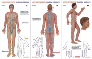 ANCS Acupuncture Chart - Meridian Set of 3 (23x36)