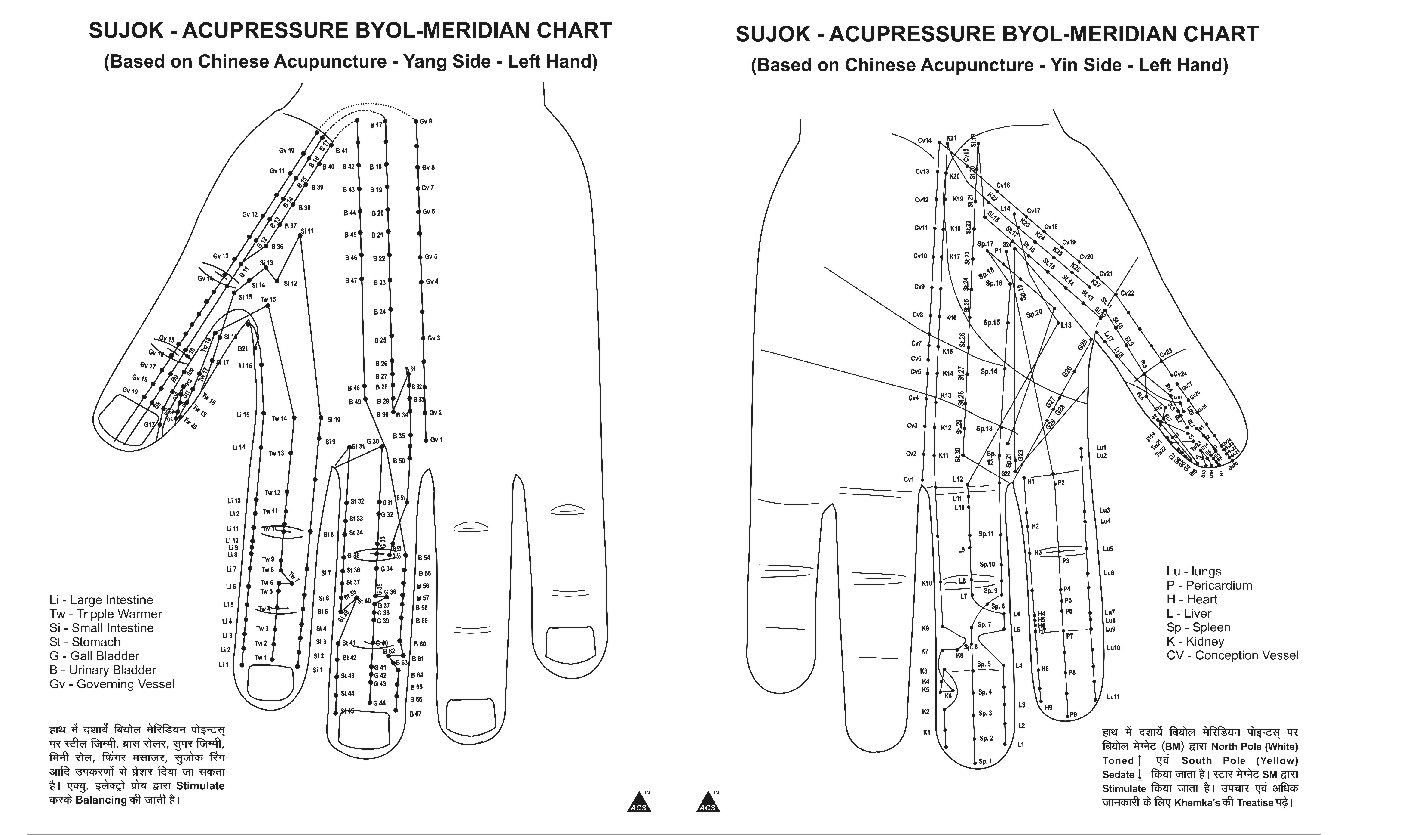 ANCS Sujok Acupressure Byol Meridian Chart B/W 