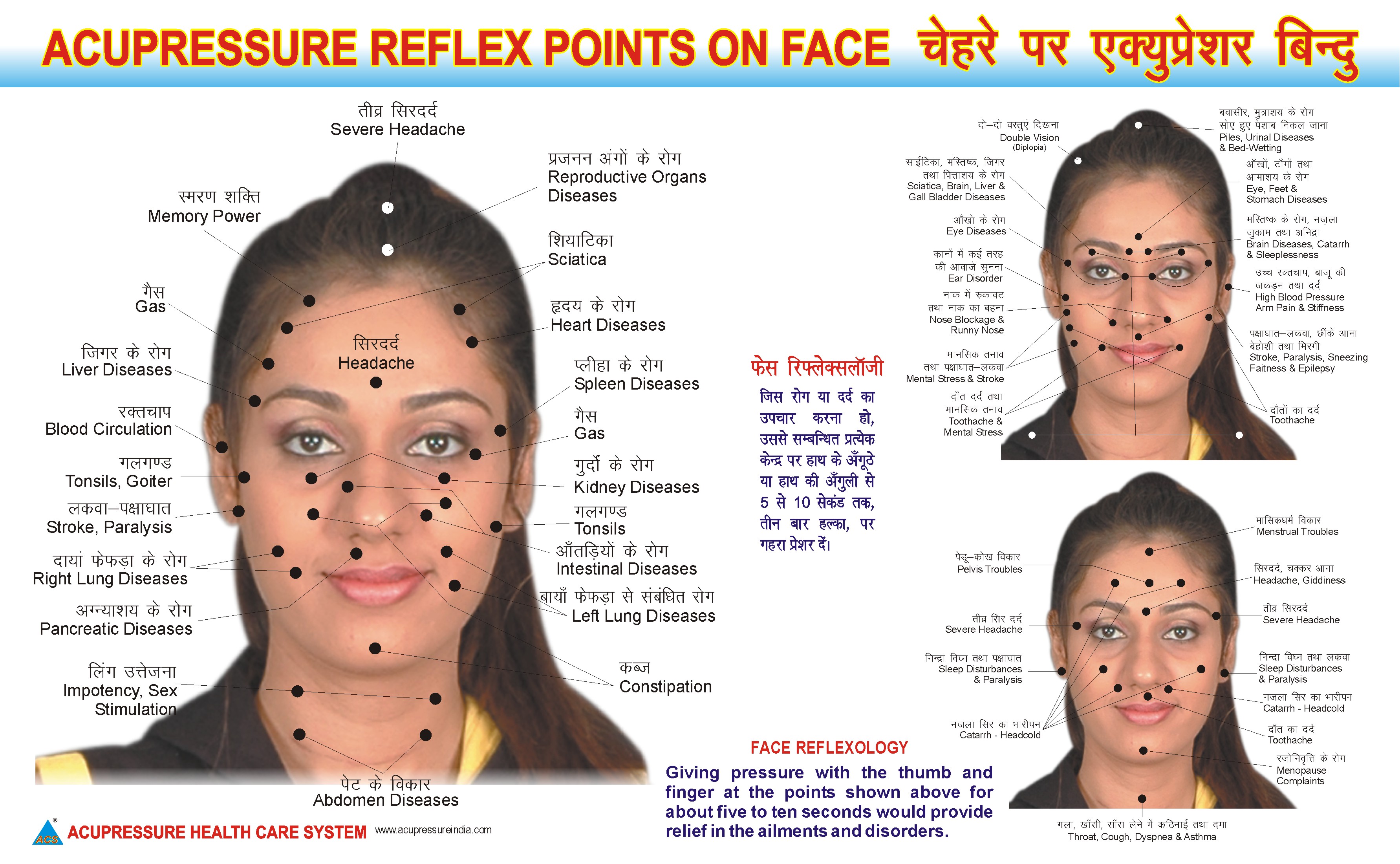 ANCS Face Reflexology Chart - For Face Point 
