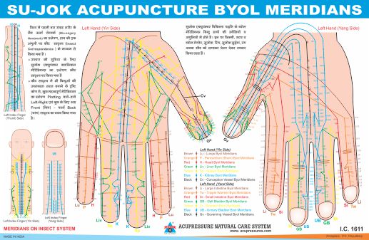 ANCS Sujok Acupuncture Byol Meridians Chart 