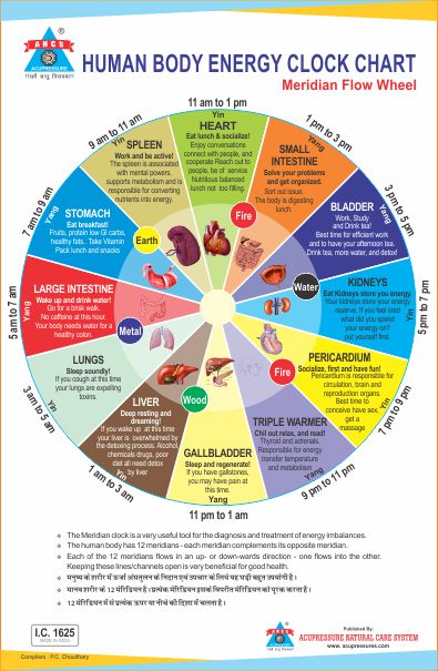ANCS Human Body Energy Clock Chart 