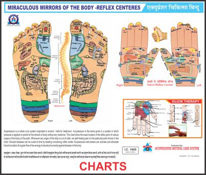 ANCS Acupressure Sujok Chart Reflex Big (23X36) 