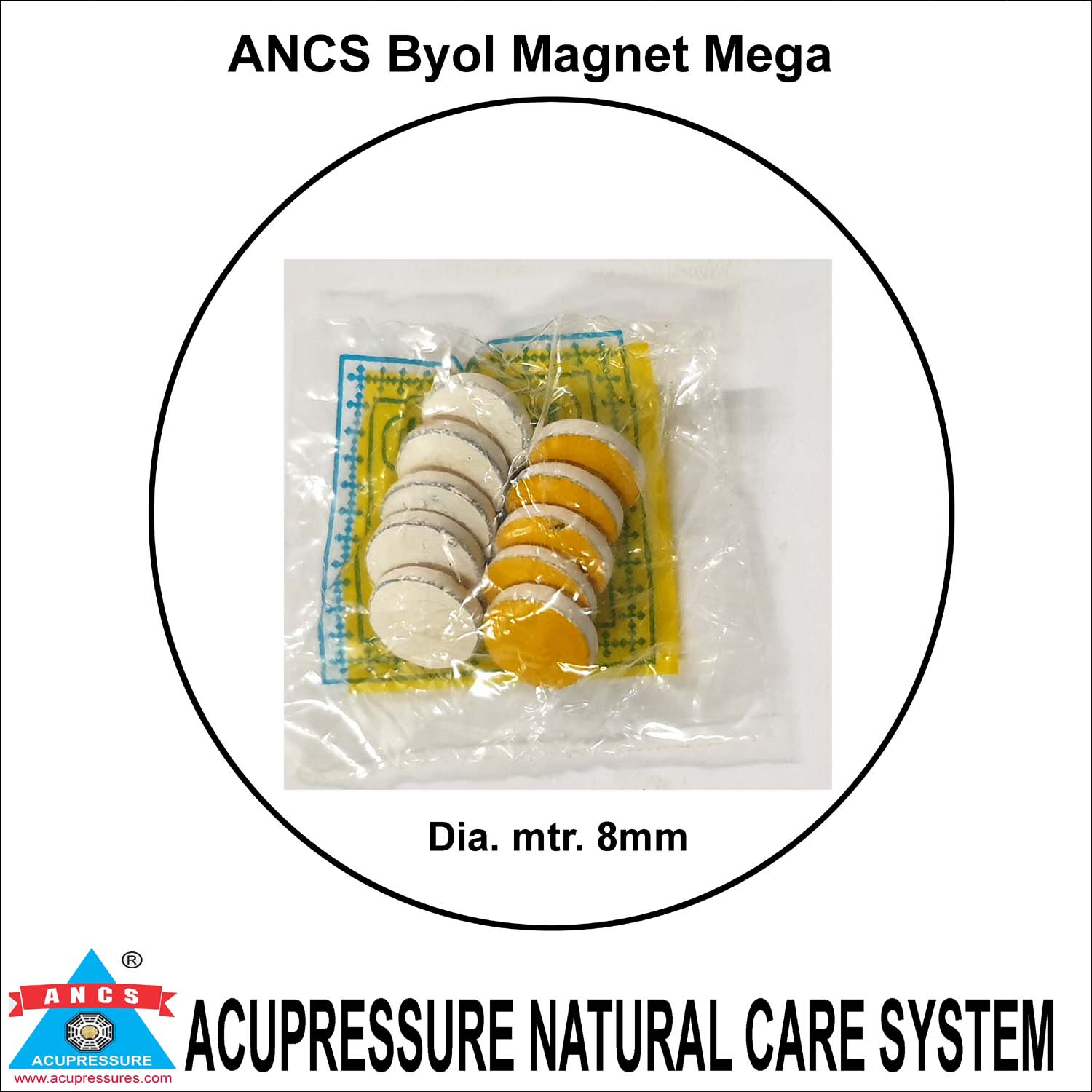 Ancs Sujok Byol Magnet-Large (Mega) (set of-10) 
