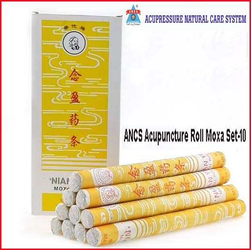 ANCS Moxa Warm Acupuncture Set-10 